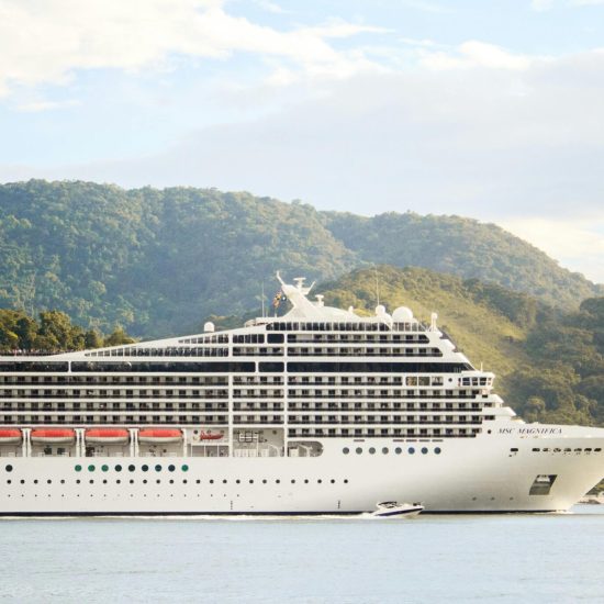 A majestic cruise ship sails through tranquil waters with lush hills in the background, perfect for travel enthusiasts.